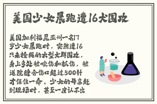 班长没带罩子让他玩儿了一天