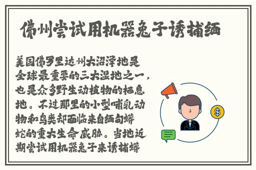 **止网站